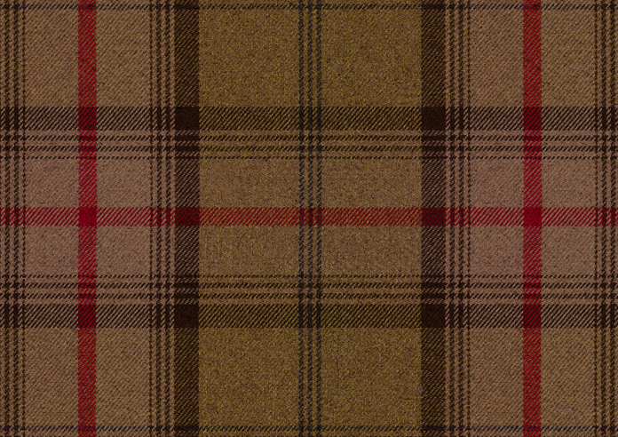 Highland, Hunter - Made to Measure Curtains - Image 8